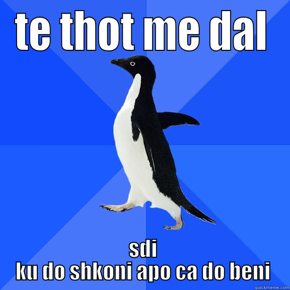 TE THOT ME DAL SDI KU DO SHKONI APO CA DO BENI Socially Awkward Penguin