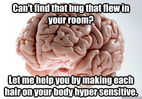 Can't find that bug that flew in your room? Let me help you by making each hair on your body hyper sensitive.   Scumbag Brain