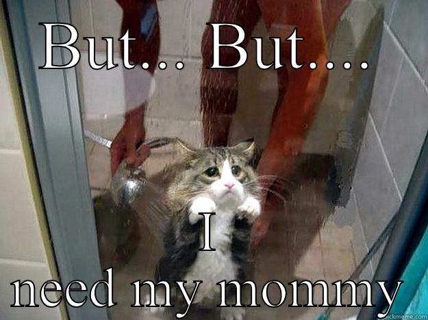 Sad kitty  - BUT... BUT.... I NEED MY MOMMY Shower kitty