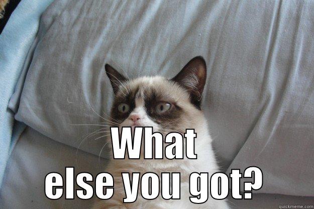  WHAT ELSE YOU GOT? Grumpy Cat