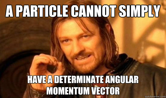 A particle cannot simply have a determinate angular 
momentum vector  Boromir