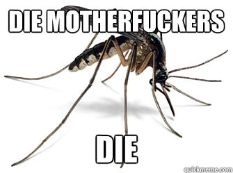 Die motherfuckers die  mosquito