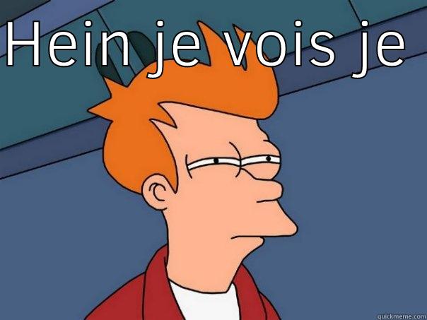 HEIN JE VOIS JE VOIS   Futurama Fry