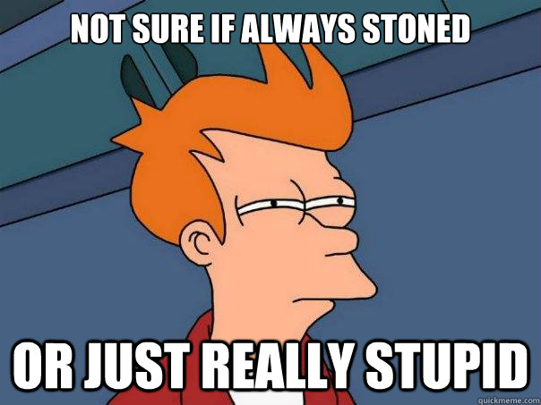 Not sure if always stoned or just really stupid  Futurama Fry