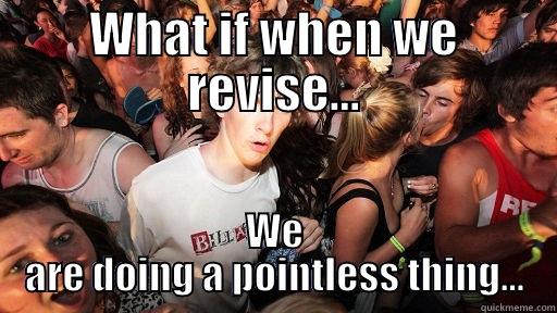WHAT IF WHEN WE REVISE... WE ARE DOING A POINTLESS THING... Sudden Clarity Clarence