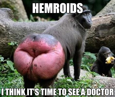 hemroids  I think it's time to see a doctor - hemroids  I think it's time to see a doctor  Hemroid Monkey