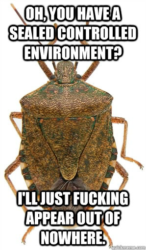 Oh, you have a sealed controlled environment? I'll just fucking appear out of nowhere.  Magical Stink Bug