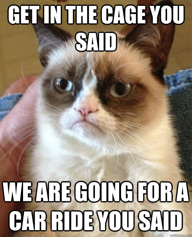 Get in the cage you said we are going for a car ride you said  Grumpy Cat