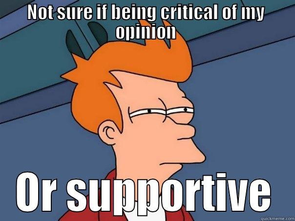 NOT SURE IF BEING CRITICAL OF MY OPINION OR SUPPORTIVE Futurama Fry