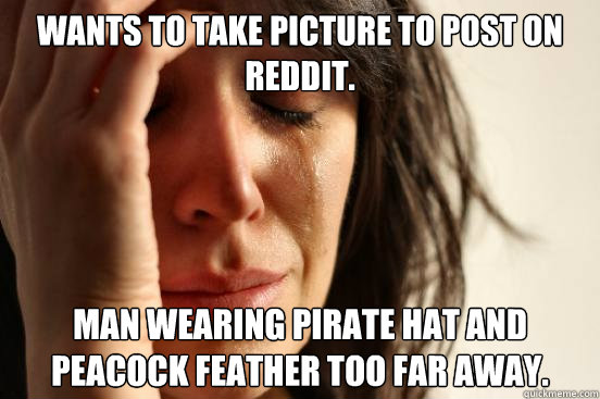 Wants to take picture to post on Reddit. Man wearing pirate hat and peacock feather too far away.  First World Problems