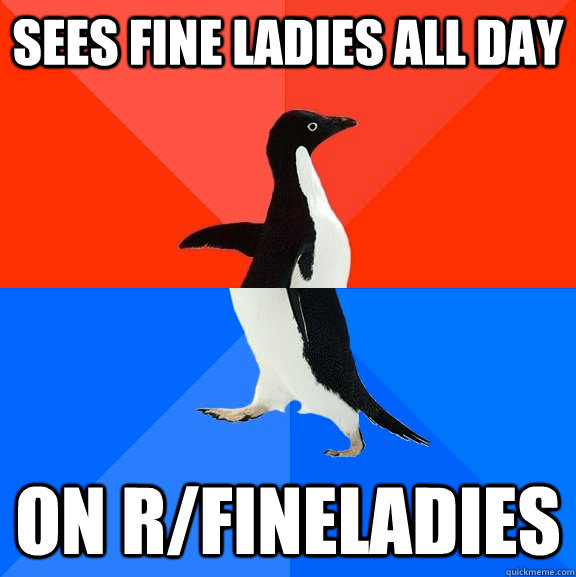 sees fine ladies all day on r/FineLadies  Socially Awesome Awkward Penguin