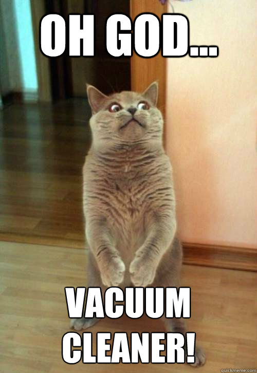 Oh God... Vacuum Cleaner!  Horrorcat