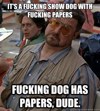 It's a fucking show dog with fucking papers Fucking dog has papers, Dude.  