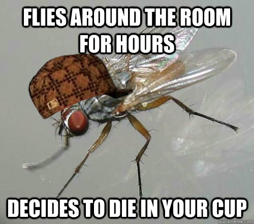 flies around the room for hours decides to die in your cup  