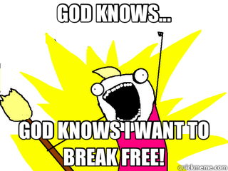 GOD KNOWS... GOD KNOWS I WANT TO BREAK FREE!  All The Things