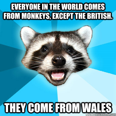 Everyone in the world comes from monkeys, except the British. They come from Wales  Lame Pun Raccoon