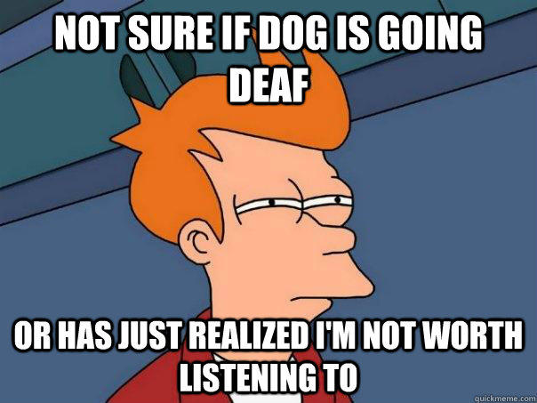 Not sure if dog is going deaf Or has just realized I'm not worth listening to - Not sure if dog is going deaf Or has just realized I'm not worth listening to  Futurama Fry