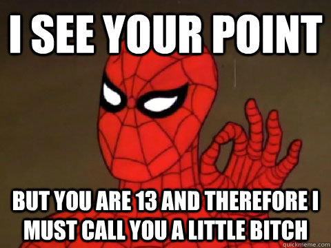 I see your point but you are 13 and therefore i must call you a little bitch - I see your point but you are 13 and therefore i must call you a little bitch  One does not Simply Spiderman