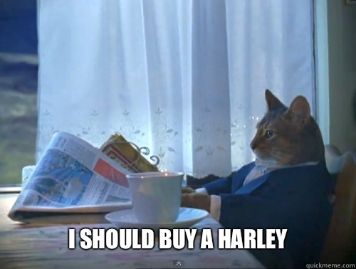  I should buy a Harley   The One Percent Cat