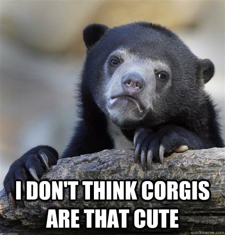  I don't think Corgis are that cute  Confession Bear