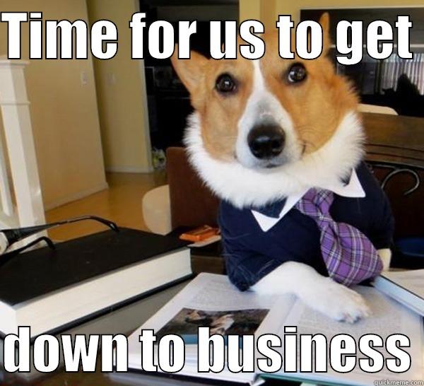 TIME FOR US TO GET   DOWN TO BUSINESS Lawyer Dog
