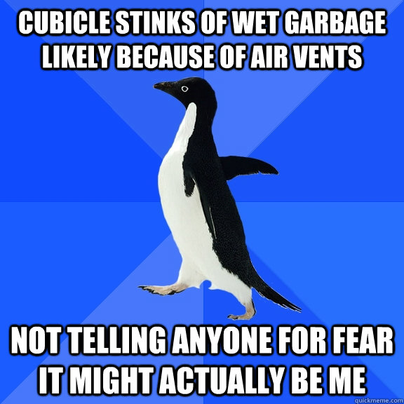 cubicle stinks of wet garbage likely because of air vents not telling anyone for fear it might actually be me  Socially Awkward Penguin