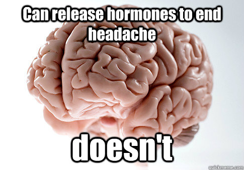 Can release hormones to end headache doesn't   Scumbag Brain