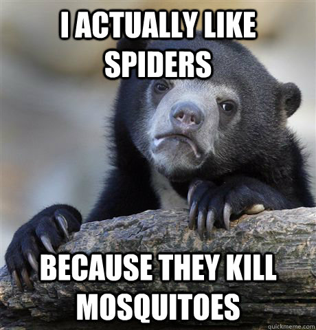 I actually like spiders because they kill mosquitoes  Confession Bear