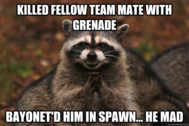 Killed fellow team mate with grenade Bayonet'd him in spawn... he mad  Evil Plotting Raccoon