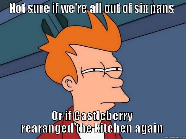 NOT SURE IF WE'RE ALL OUT OF SIX PANS OR IF CASTLEBERRY REARRANGED THE KITCHEN AGAIN Futurama Fry