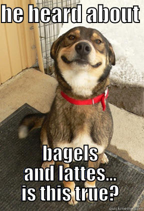 HE HEARD ABOUT  BAGELS AND LATTES... IS THIS TRUE? Good Dog Greg