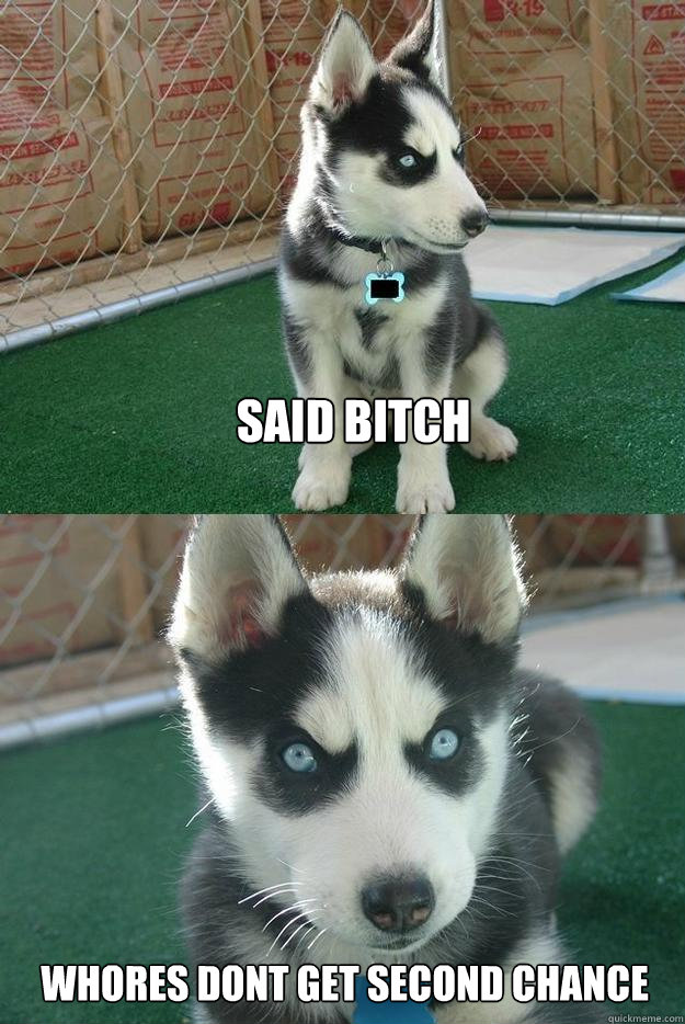 said bitch whores dont get second chance  Insanity puppy