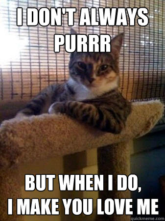 I don't always purrr but when I do,
I make you love me  The Most Interesting Cat in the World