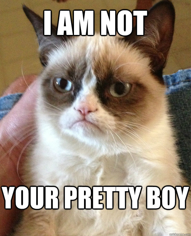 i am not your pretty boy - i am not your pretty boy  Grumpy Cat
