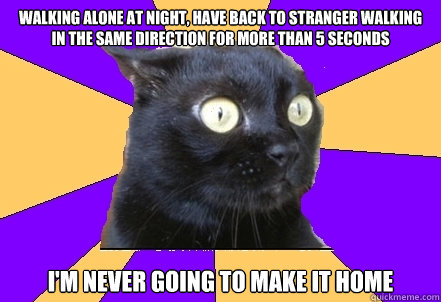 Walking alone at night, have back to stranger walking in the same direction for more than 5 seconds I'm never going to make it home  Anxiety Cat