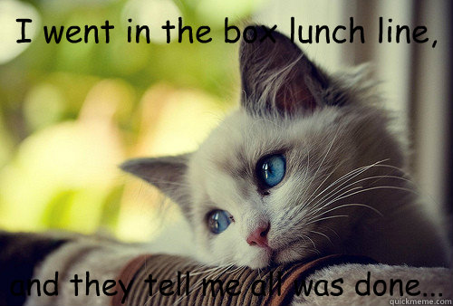 I went in the box lunch line, and they tell me all was done...  First World Cat Problems