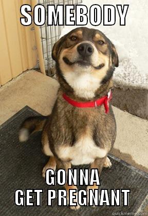     SOMEBODY     GONNA GET PREGNANT Good Dog Greg