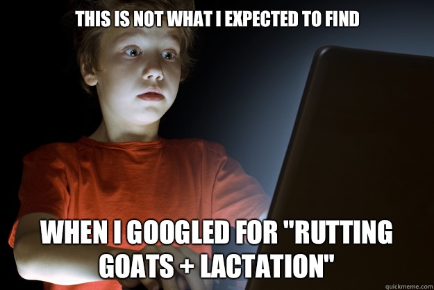 This is not what I expected to find When I googled for 