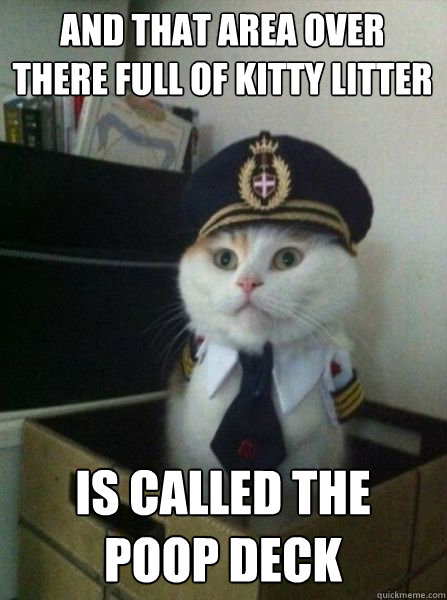 and that area over there full of kitty litter is called the
poop deck  Captain kitteh