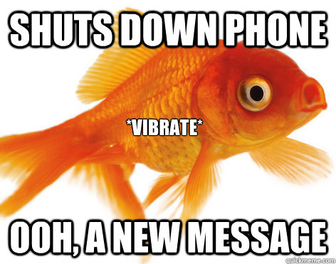 Shuts down phone ooh, a new message *vibrate*  Forgetful Fish