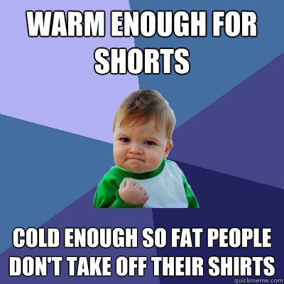 Warm enough for shorts Cold enough so fat people don't take off their shirts - Warm enough for shorts Cold enough so fat people don't take off their shirts  Success Kid