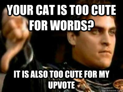 Your cat is too cute for words? It is also too cute for my upvote  Downvoting Roman