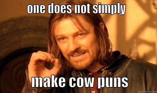          ONE DOES NOT SIMPLY                       MAKE COW PUNS          Boromir