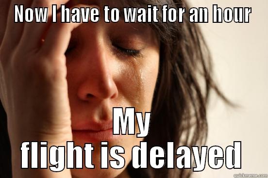 NOW I HAVE TO WAIT FOR AN HOUR MY FLIGHT IS DELAYED First World Problems