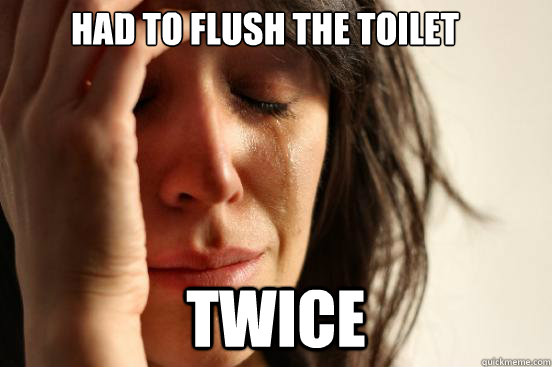 Had to flush the toilet twice  First World Problems