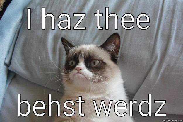 I HAZ THEE  BEHST WERDZ Grumpy Cat