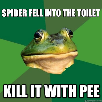 spider fell into the toilet kill it with pee - spider fell into the toilet kill it with pee  Foul Bachelor Frog