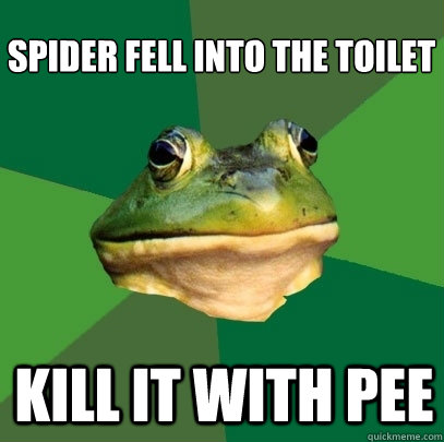 spider fell into the toilet kill it with pee  Foul Bachelor Frog
