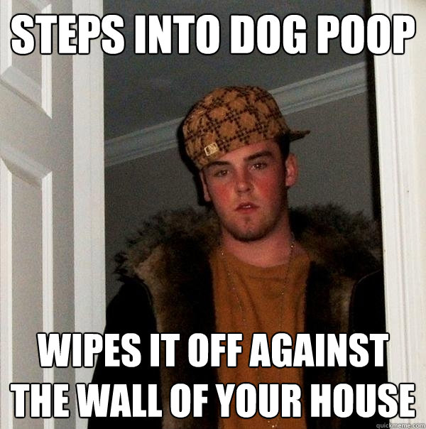 Steps into dog poop Wipes it off against the wall of your house - Steps into dog poop Wipes it off against the wall of your house  Scumbag Steve