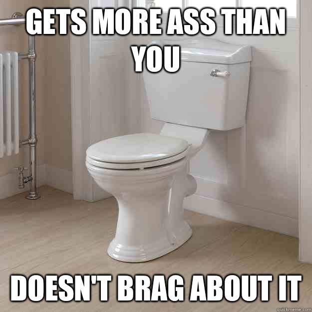 Gets more ass than you Doesn't brag about it  Good Guy Toilet